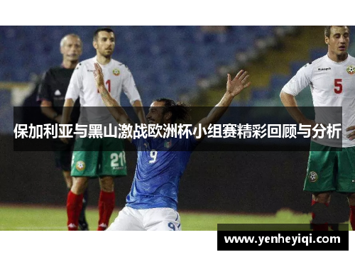 保加利亚与黑山激战欧洲杯小组赛精彩回顾与分析